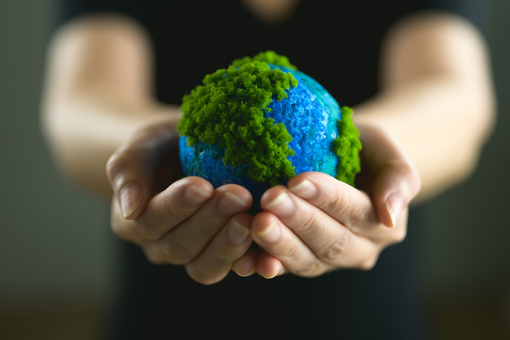 Niko | Reducing Carbon Footprint