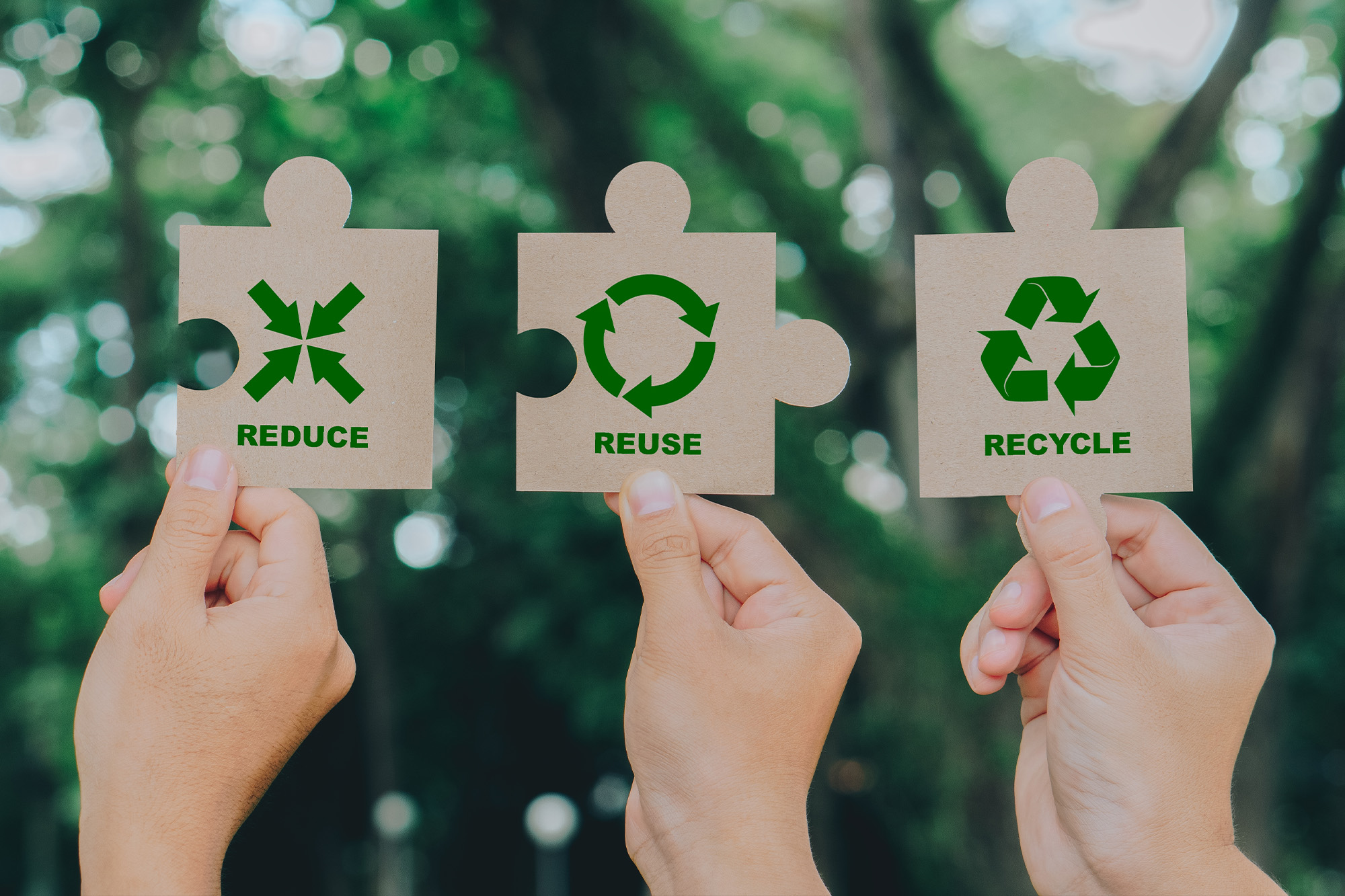 Niko | Reducing Carbon Footprint